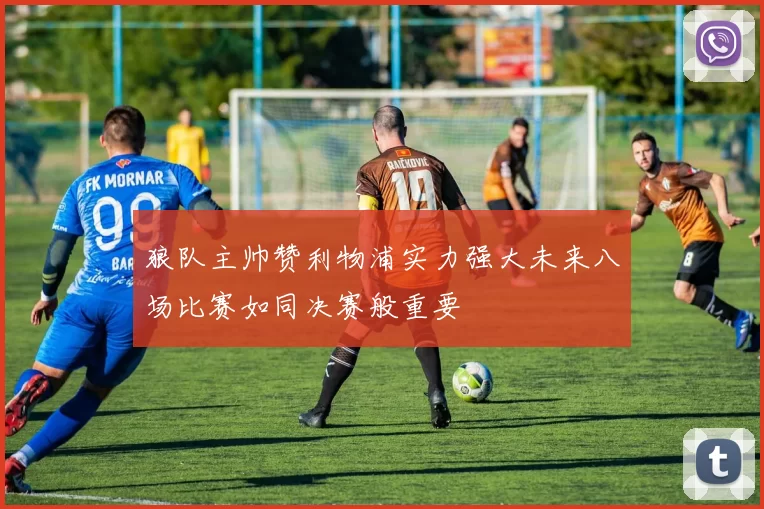狼队主帅赞利物浦实力强大未来八场比赛如同决赛般重要