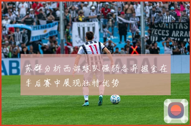 苏群分析西部球队强弱各异掘金在季后赛中展现独特优势